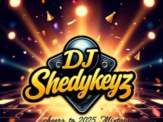 DJ Shedykeyz –Cheers To 2025 Mixtape